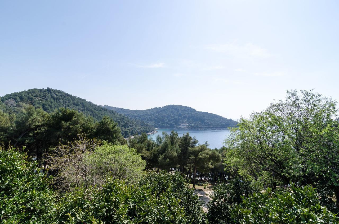 Guest House Kralj ซาปลูนารา ภายนอก รูปภาพ