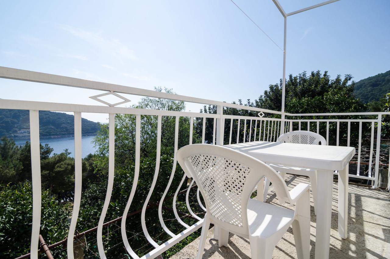 Guest House Kralj ซาปลูนารา ภายนอก รูปภาพ